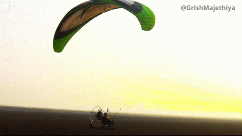 Fly Skydiving GIF - Fly Skydiving Parachute GIFs