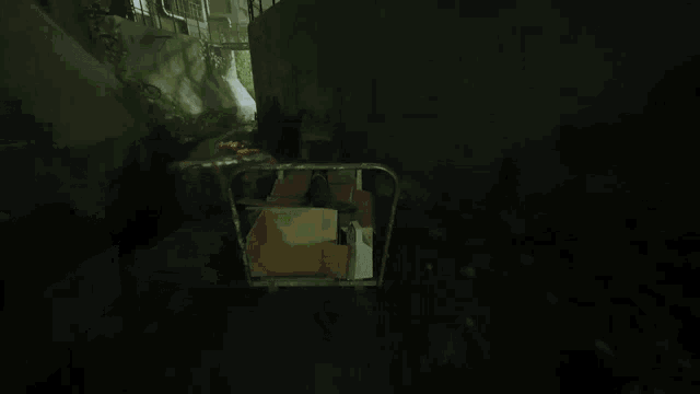 a blurry picture of a person driving a car in a dark forest