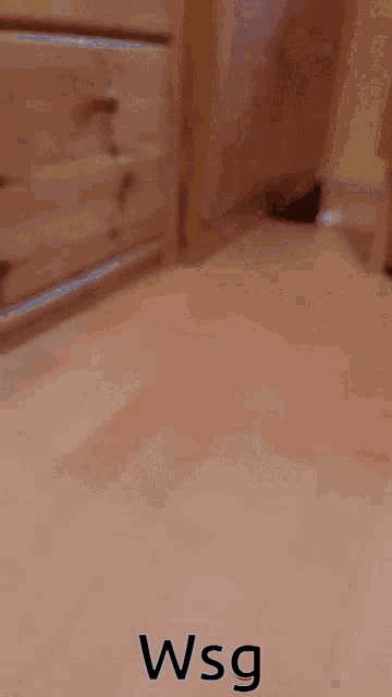 the word wsg that is on a brown surface