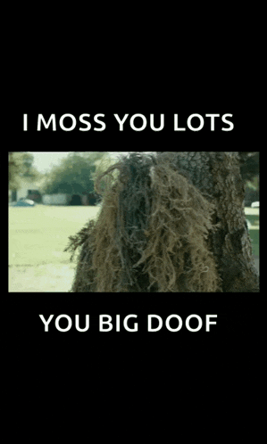 a picture of a tree with the words i moss you lots you big doof