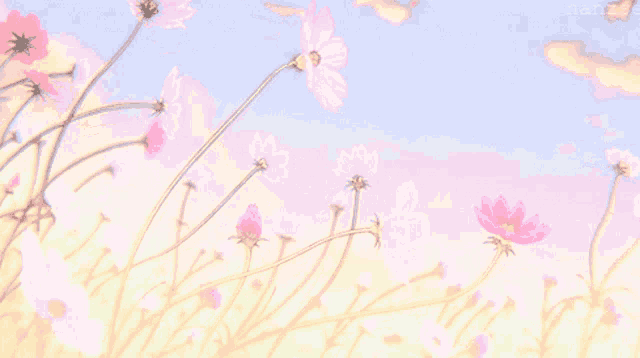 a bunch of pink flowers against a blue sky with nanzs written on the bottom