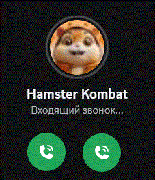 a picture of a hamster with the name hamster kombat on the bottom