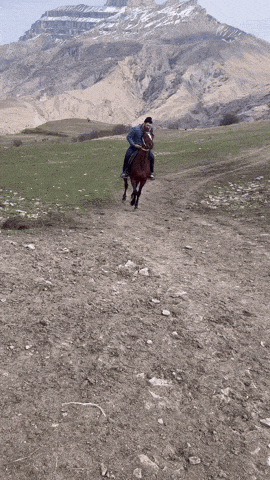 a man is riding a brown horse in a field with mountains in the background