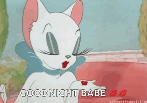 a cartoon cat is blowing a kiss with the words goodnight babe written below it