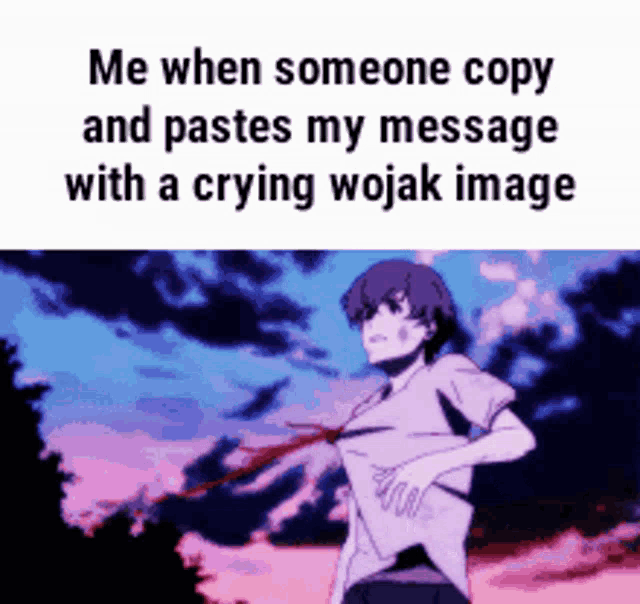 me when someone copy and paste my message with a crying wojak image .