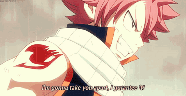 a fairy tail character is saying i 'm gonna take you apart i guarantee it
