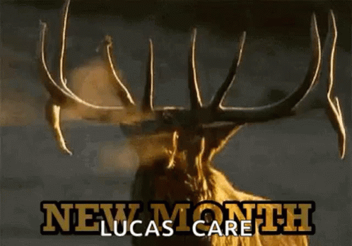 New Month Elk GIF - New Month Elk Antlers GIFs