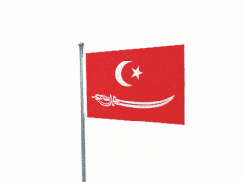 Aceh Flag GIF - Aceh Flag GIFs