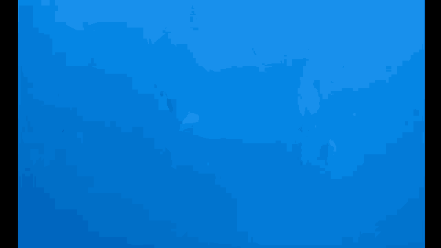 a group of dolphins swimming in a blue ocean