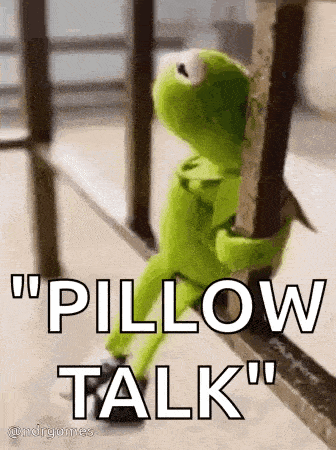 kermit the frog is sitting on a railing holding onto a railing and says `` pillow talk '' .