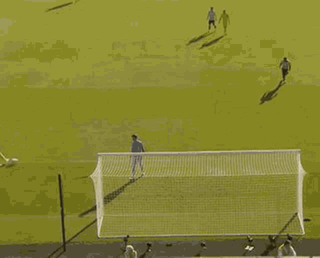 a group of people are playing soccer on a field with a goalie in the net .