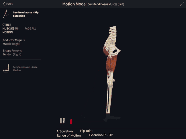 a screen showing a skeleton and muscles with the motion mode displayed