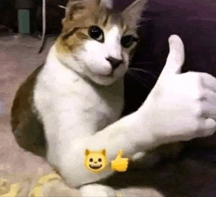 a cat is giving a thumbs up sign with two thumbs up emojis on its arm .