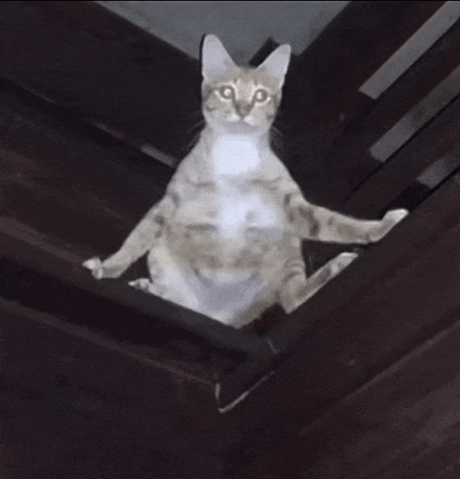 a cat sitting on top of a wooden beam with its legs crossed