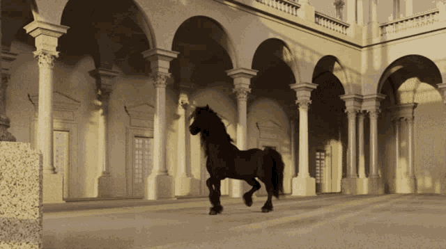 Horse Dancing GIF - Horse Dancing Horse Dancing GIFs