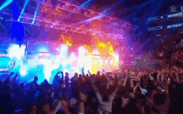 a crowd of people at a concert with the letter w on the bottom right
