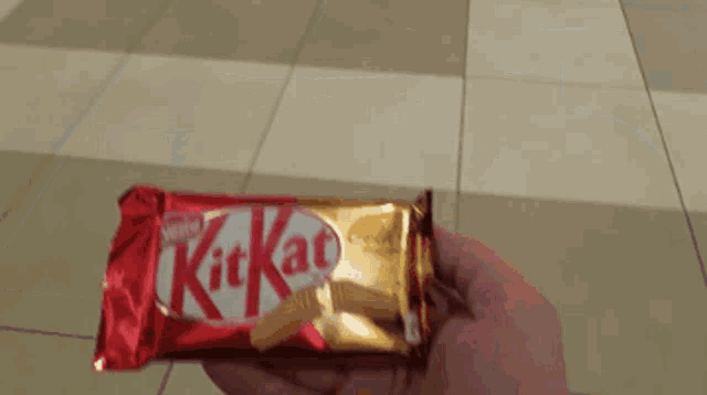 a person holding a kitkat bar in their hand