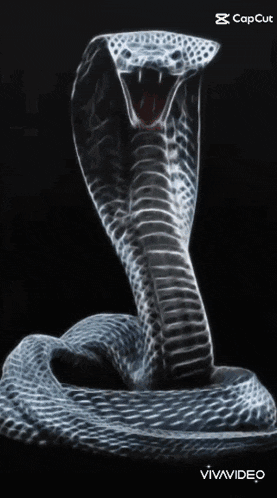 a snake with its mouth open is displayed on a black background with the caption capcut