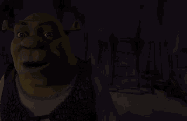 shrek from the movie shrek looks very surprised and shocked