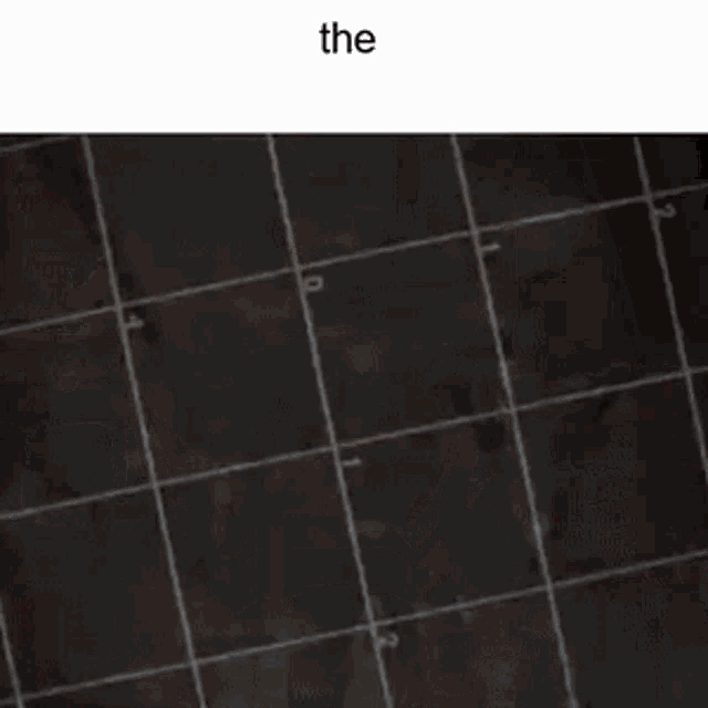 The GIF - The GIFs