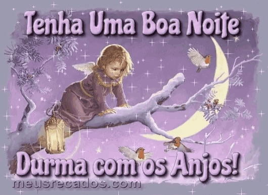 a picture of an angel with the words tenha uma boa noite durma com os anjos on the bottom