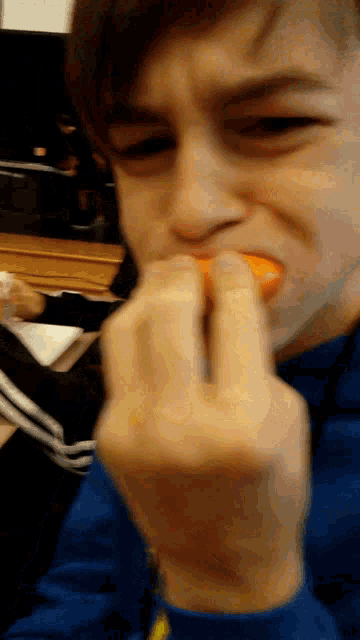 a boy in a blue shirt is eating a carrot