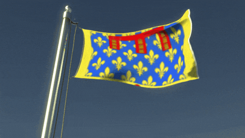 a blue and yellow flag with fleur de lis on it is waving in the wind