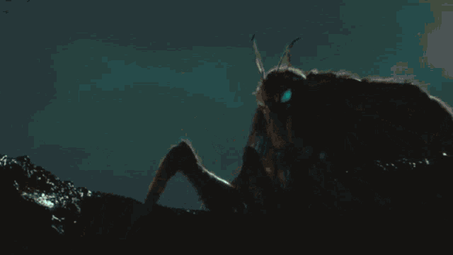 Queen Mothra Mothra GIF - Queen Mothra Mothra Queen Of The Monsters GIFs