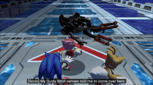 a video game scene with sonic saying " sonic my dusty bitch senses told me to come over here