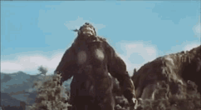 Godzilla King Kong Vs Godzilla GIF