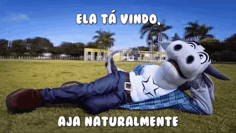 a person in a cow costume is laying in the grass