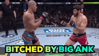 two men are fighting in a boxing ring with the words bitched by big ank behind them