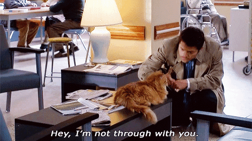 a man kneeling down with a cat on a table with the words hey i 'm not through with you