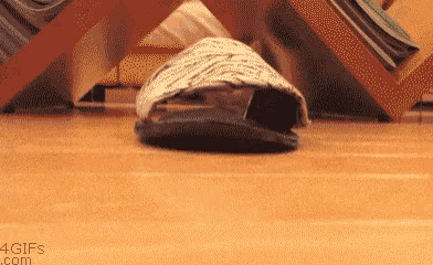 a turtle is crawling on the floor under a bookshelf .