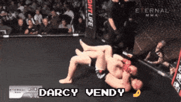 darcy vendy is fighting another fighter in a eternal mma match