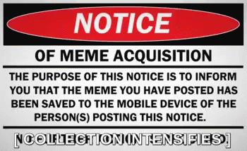 Memeacquisition Collection Intensifies GIF - Memeacquisition Collection Intensifies Stolen GIFs
