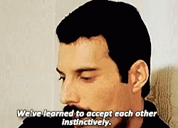 Queen Accept GIF - Queen Accept Weve Learm To Accept Each Other Intinctively GIFs