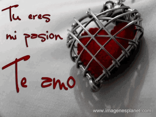 a red heart in a wire cage with the words " tu eres mi pasion "