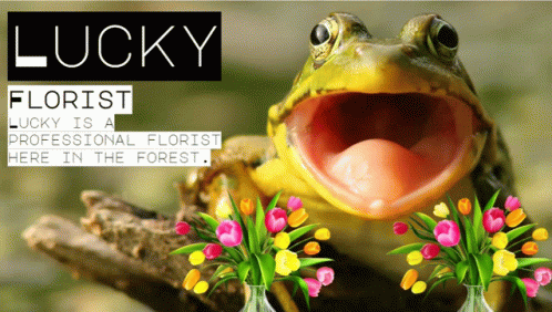 Frog Flower GIF - Frog Flower GIFs