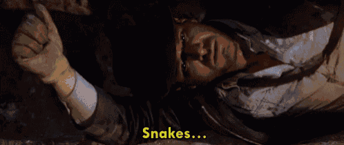 a man is laying on the ground with the words why did it have to be snakes