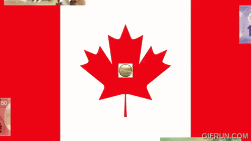 Canadian Dollars Miles In Transit GIF - Canadian Dollars Miles In Transit Canada GIFs