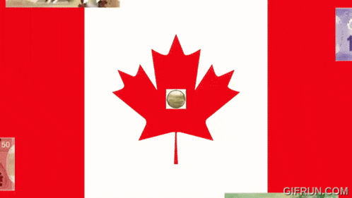 a canadian flag is surrounded by various canadian currency bills