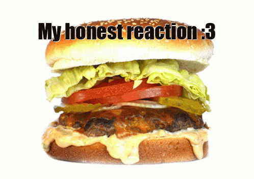 a hamburger with lettuce tomato and pickles with the words my honest reaction 3 below it