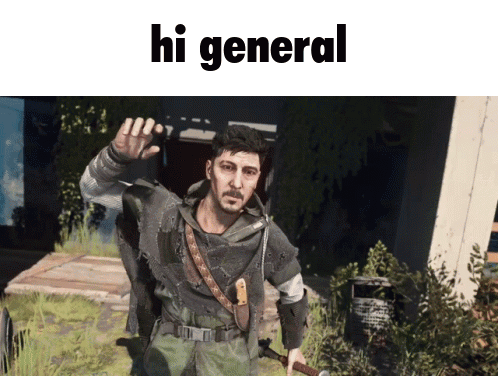 Hi General GIF - Hi General Hakon GIFs