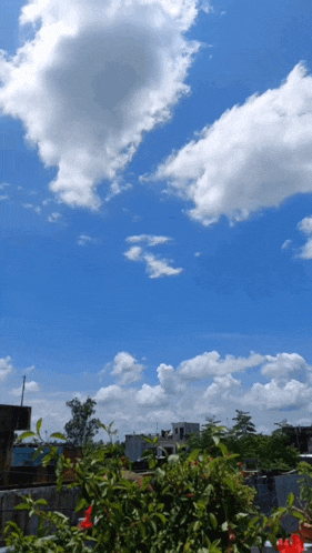a blue sky with white clouds and a few plants in the foreground