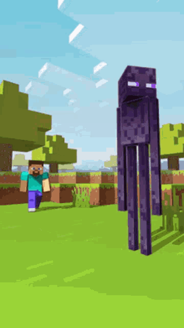 a steve and an enderman from minecraft are standing in a field