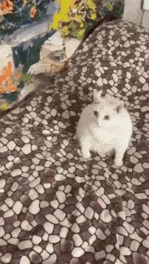 a white cat is sitting on a bed next to a painting
