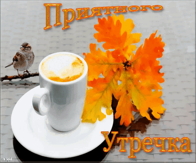 a cup of coffee sits on a saucer next to a flower and a bird on a branch