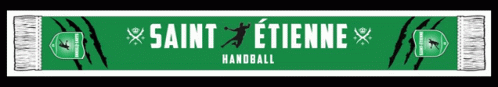 Saint Etienne Handball Allez Les Verts GIF - Saint Etienne Handball Allez Les Verts Handball GIFs