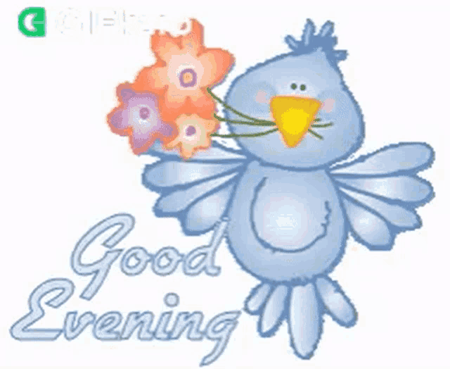 a blue bird is holding a bouquet of flowers and says good evening